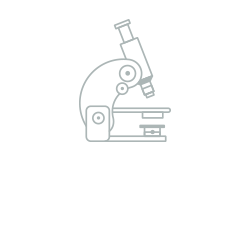 PhDs & Research Programmes